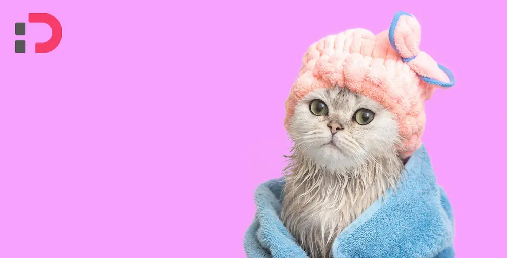 محصولاتی ویژه برای گربه‌ها در پت‌شاپ آنلاین پتدونی | شامپو و نرم‌کننده گربه بدون مواد شیمیایی مضر 1404